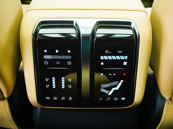 Фото 5 - BYD FangChengBao Leopard 8