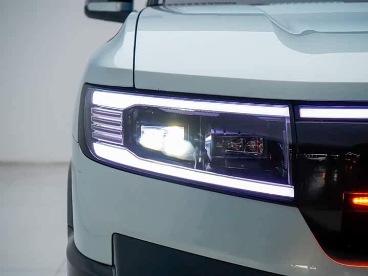 Фото 8 - BYD FangChengBao Leopard 8