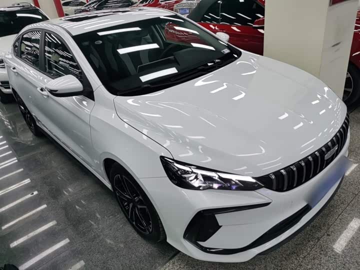 Фото 4 - Geely Binrui