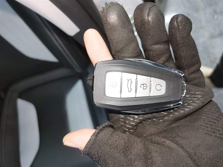 Фото 9 - Geely Binrui