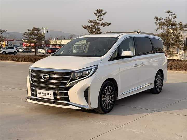 Фото 1 - GAC Trumpchi M8