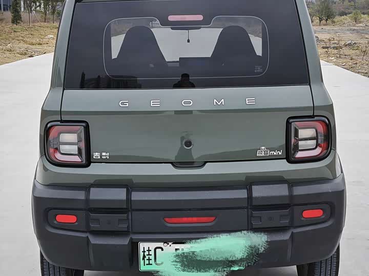 Фото 6 - Geely Galaxy Panda Mini