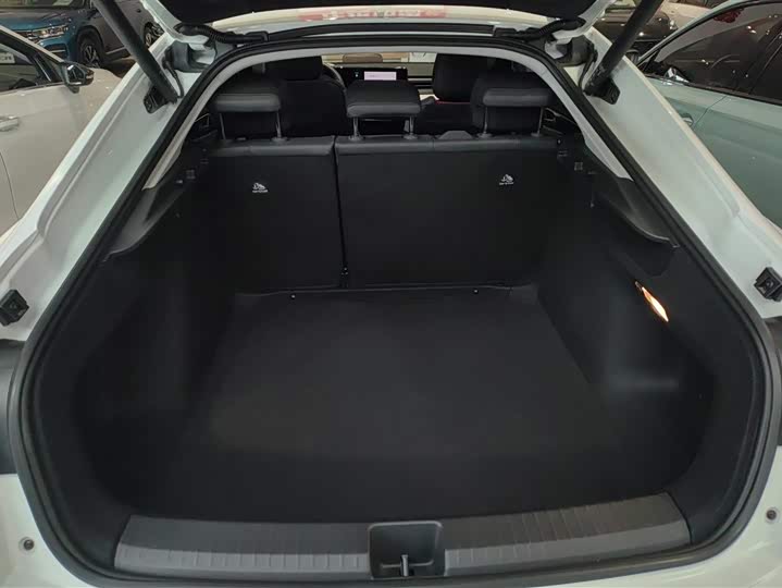 Фото 4 - Volkswagen Lamando L