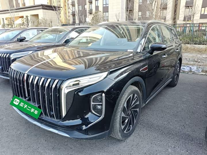 Фото 2 - Hongqi HS7 Hybrid