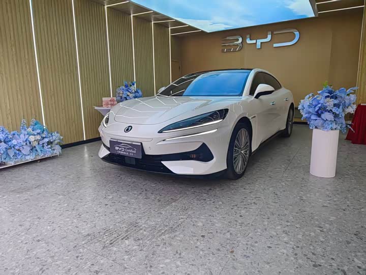 Фото 1 - Denza Z9