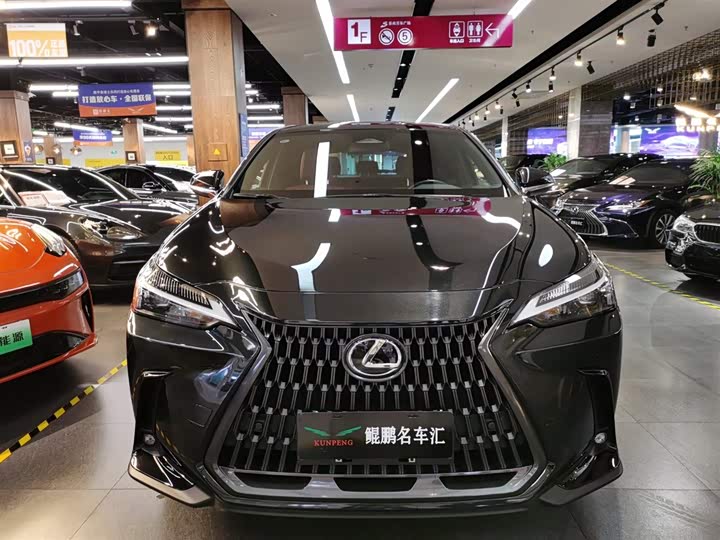 Фото 2 - Lexus NX