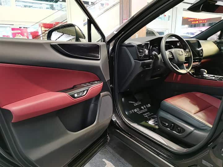 Фото 5 - Lexus NX