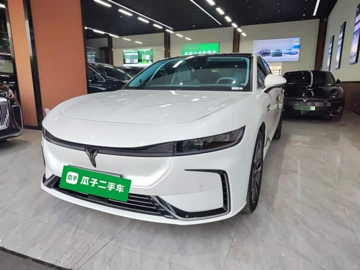 Фото 2 - Voyah Passion