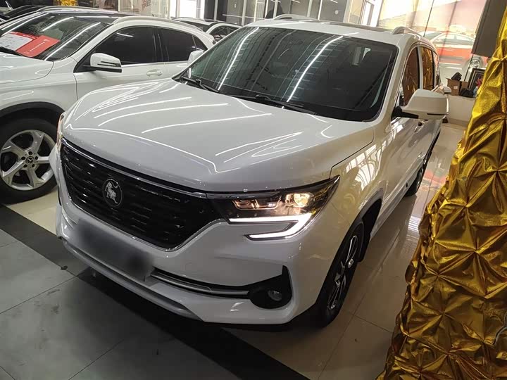 Фото 2 - Dongfeng Forthing T5