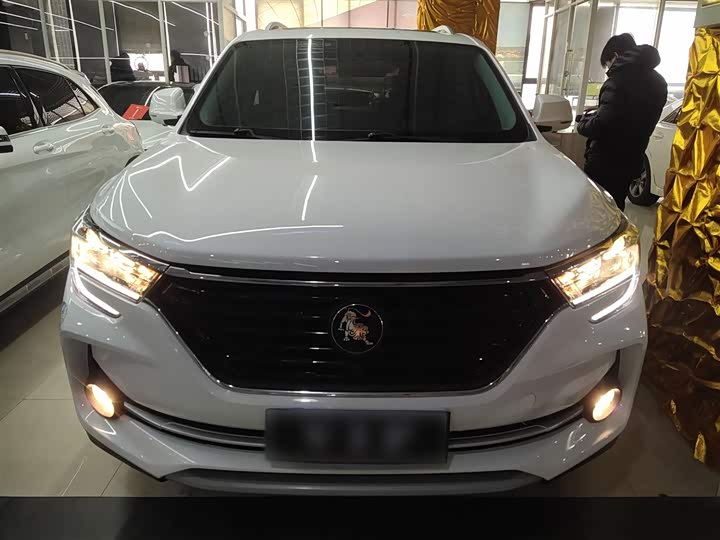 Фото 3 - Dongfeng Forthing T5