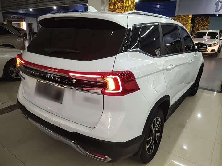 Фото 7 - Dongfeng Forthing T5
