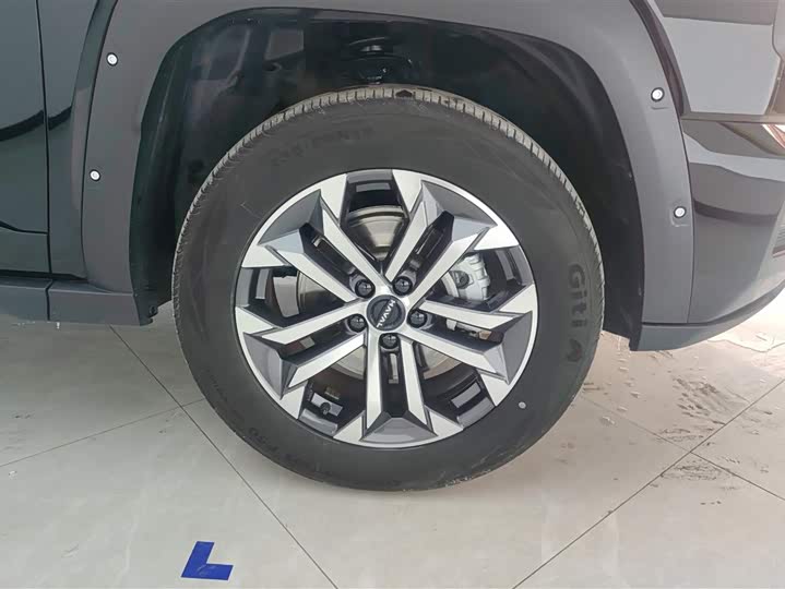 Фото 6 - Haval H-Dog