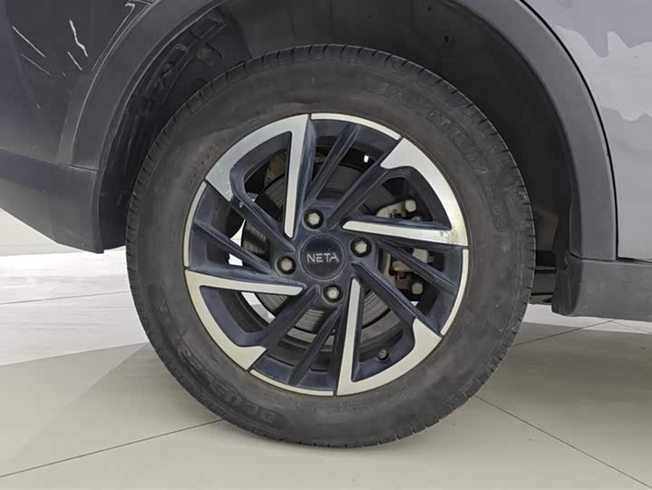 Фото 6 - Hozon V