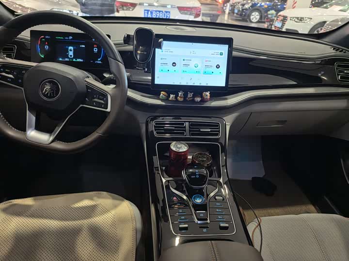 Фото 8 - BYD Qin Plus