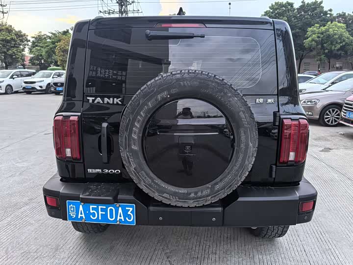 Фото 5 - Tank 300