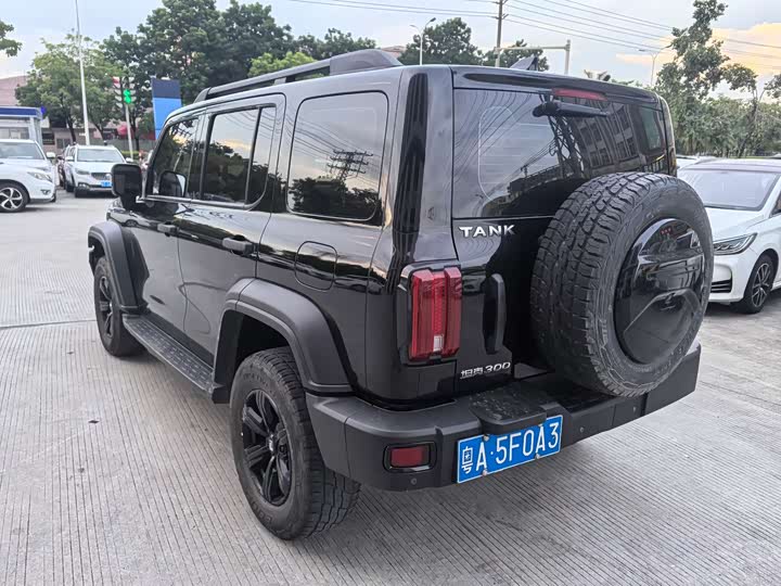 Фото 6 - Tank 300