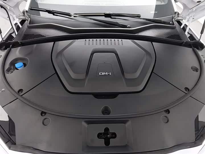 Фото 6 - BYD Song Plus Hybrid/EV