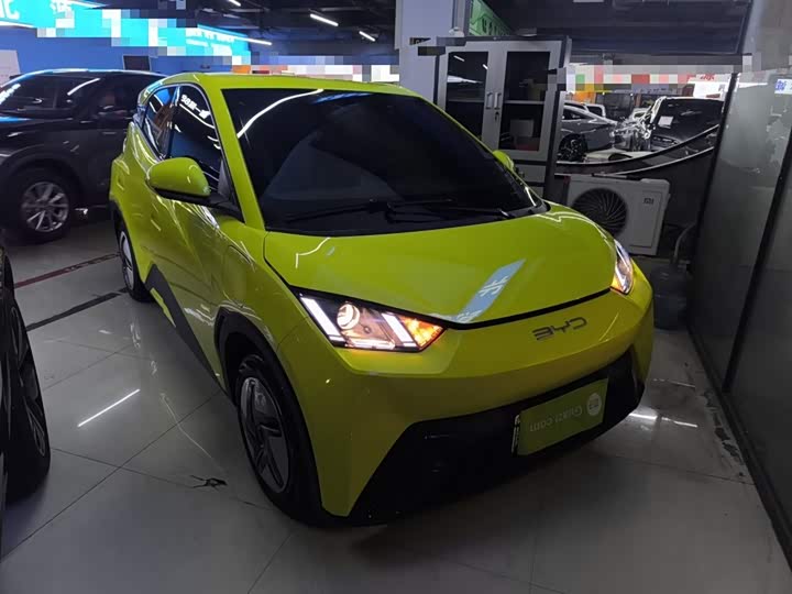 Фото 4 - BYD Seagull