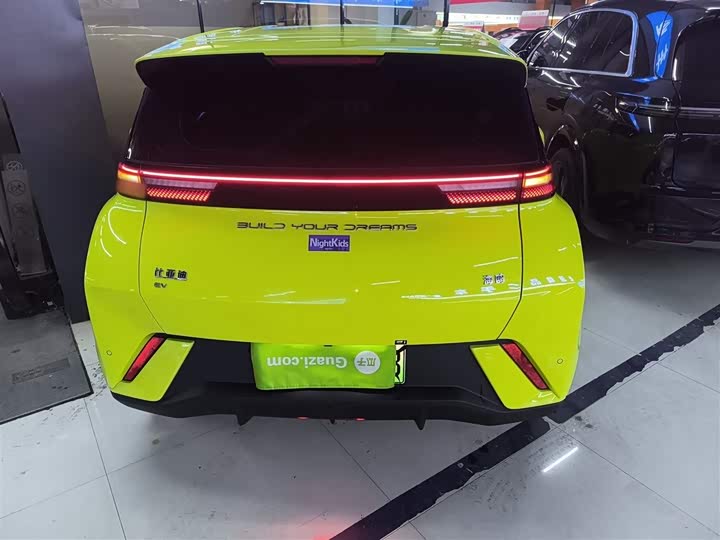 Фото 6 - BYD Seagull