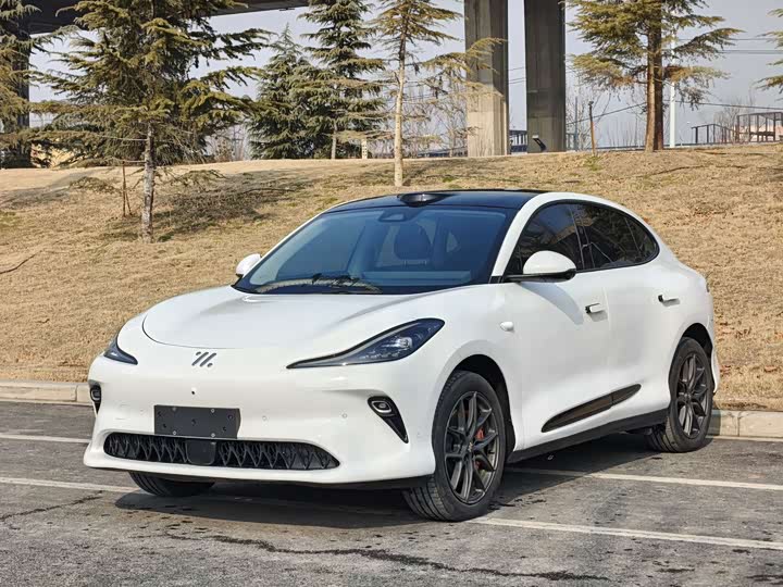 Фото 1 - IM motors LS6