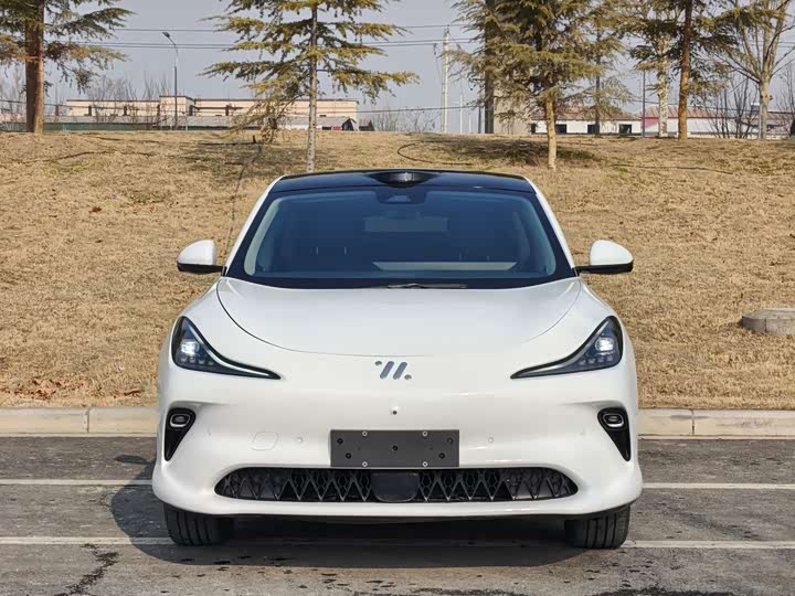 Фото 2 - IM motors LS6