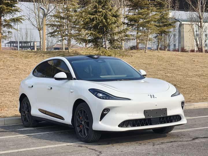 Фото 3 - IM motors LS6