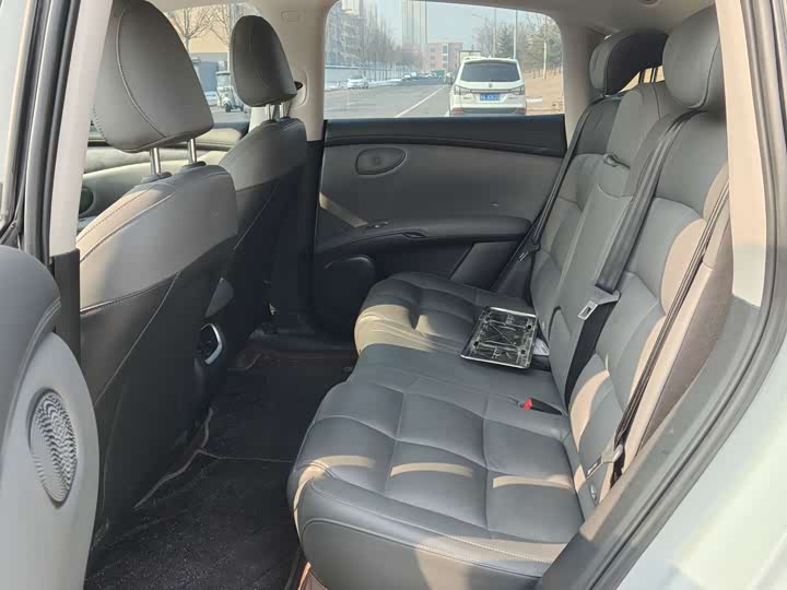 Фото 5 - IM motors LS6