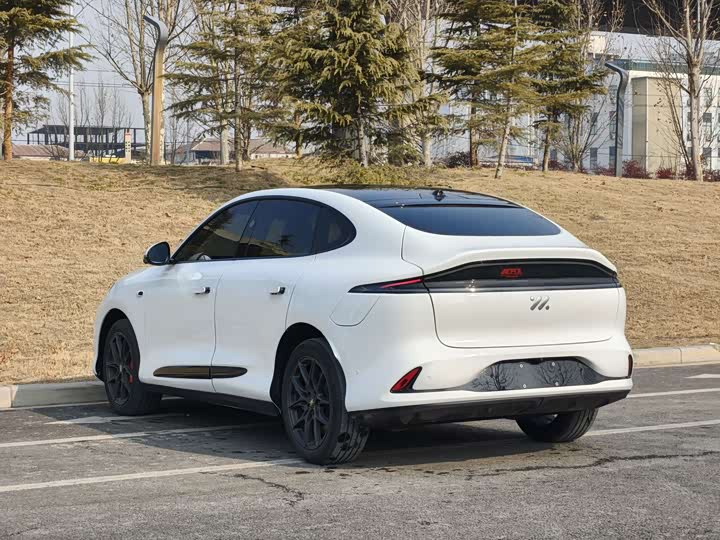 Фото 9 - IM motors LS6