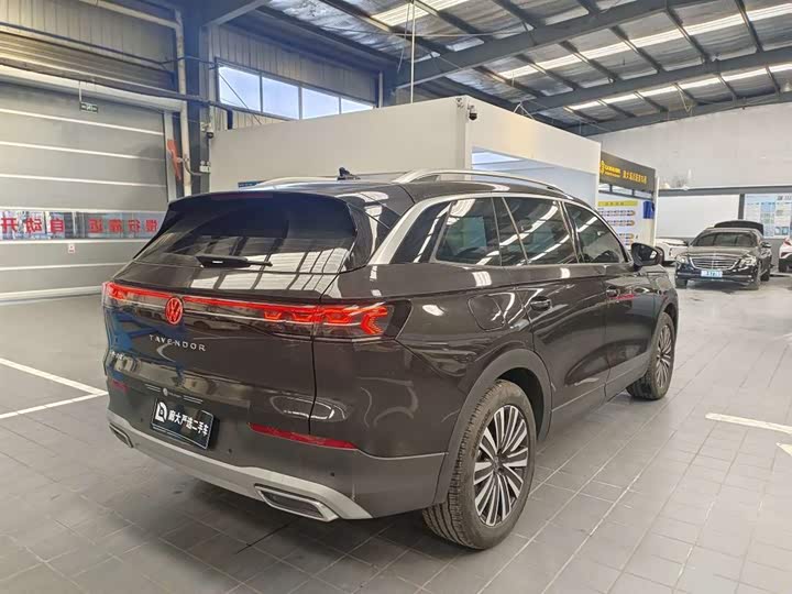 Фото 4 - Volkswagen Tavendor