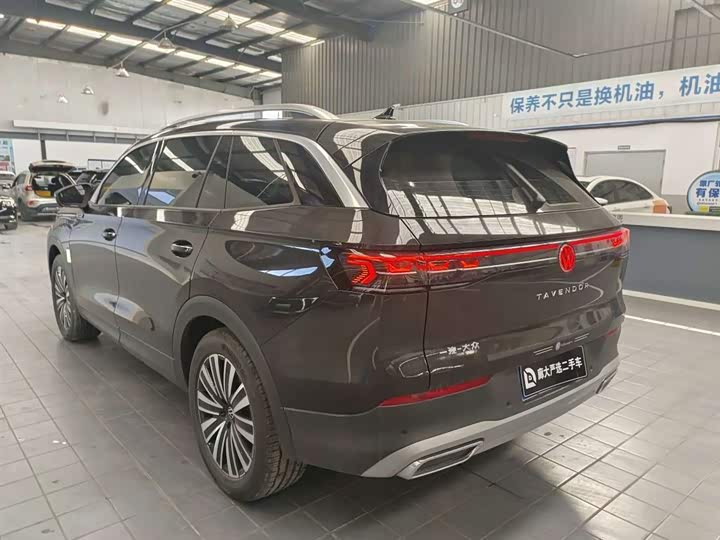 Фото 6 - Volkswagen Tavendor