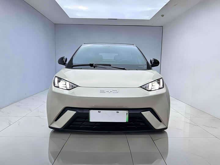 Фото 2 - BYD Seagull