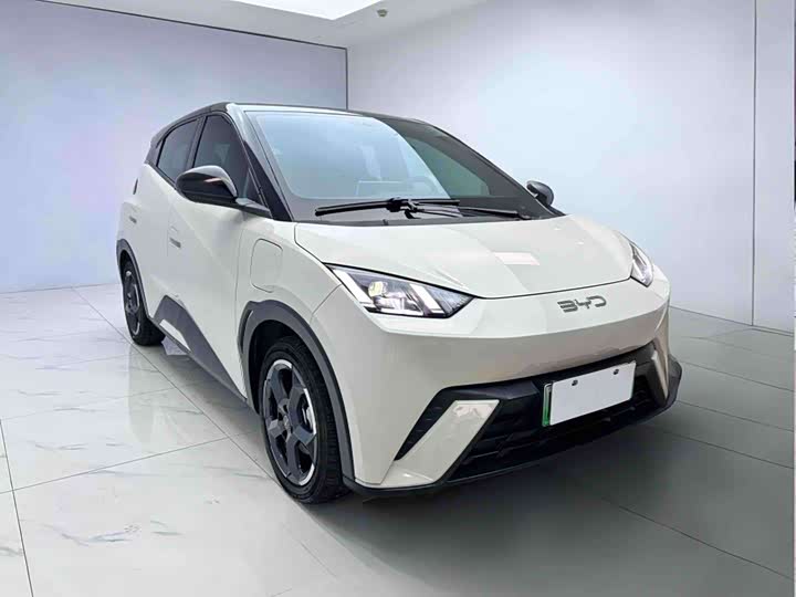 Фото 3 - BYD Seagull