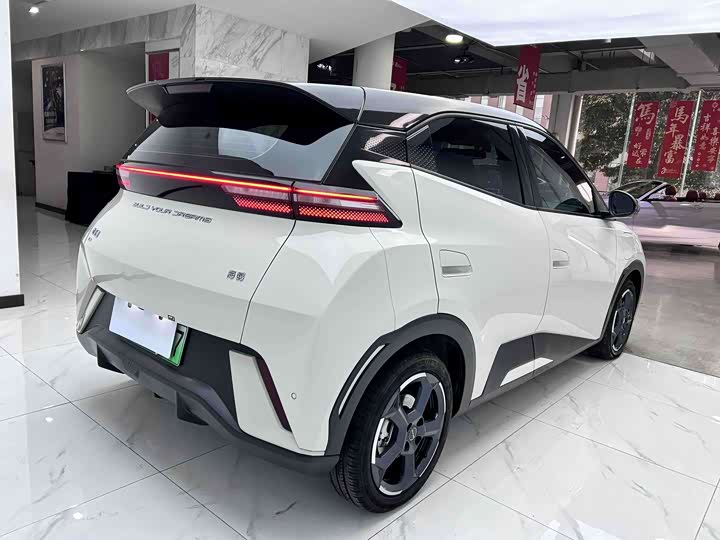 Фото 4 - BYD Seagull