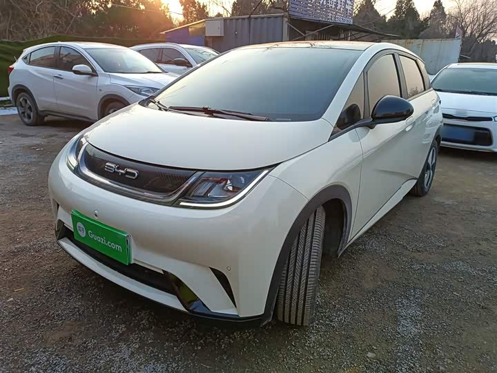 Фото 2 - BYD Dolphin