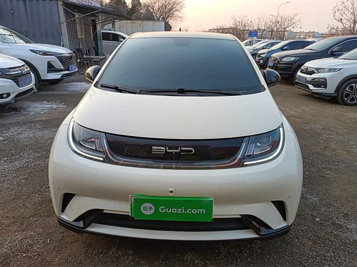 Фото 3 - BYD Dolphin