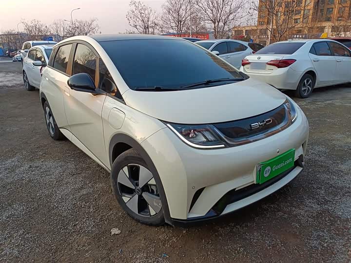 Фото 4 - BYD Dolphin