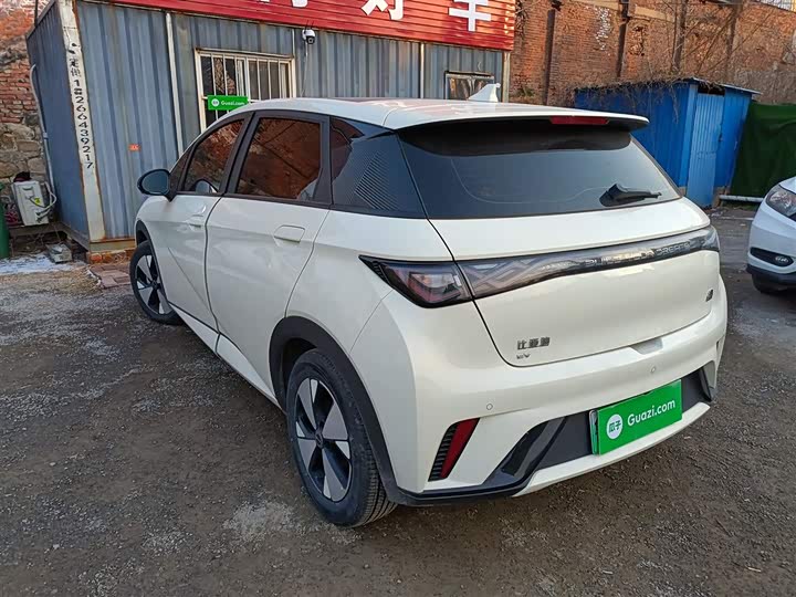 Фото 5 - BYD Dolphin