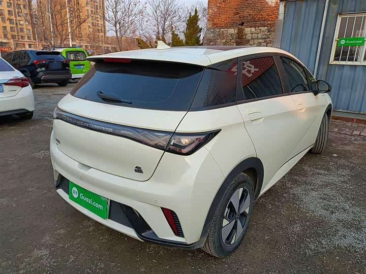 Фото 7 - BYD Dolphin