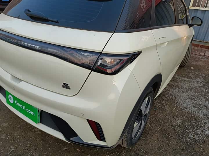 Фото 8 - BYD Dolphin