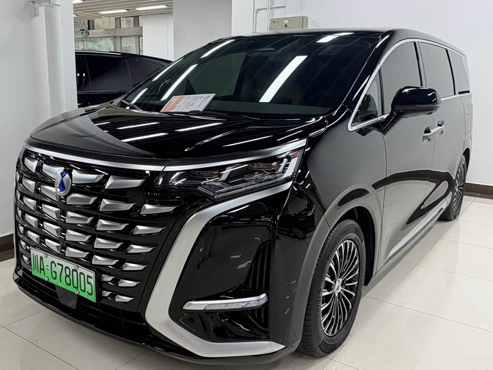 Фото 1 - Denza D9