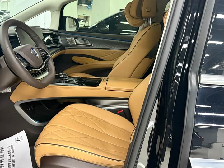 Фото 2 - Denza D9