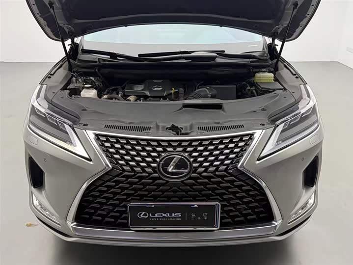 Фото 3 - Lexus RX