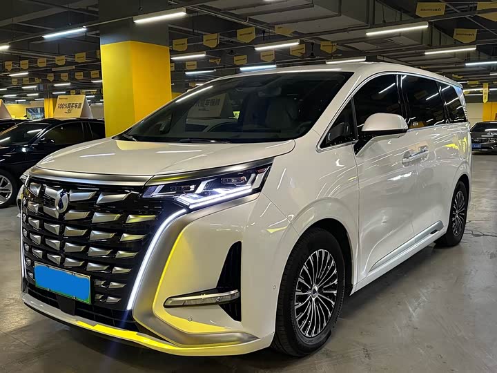 Фото 1 - Denza D9