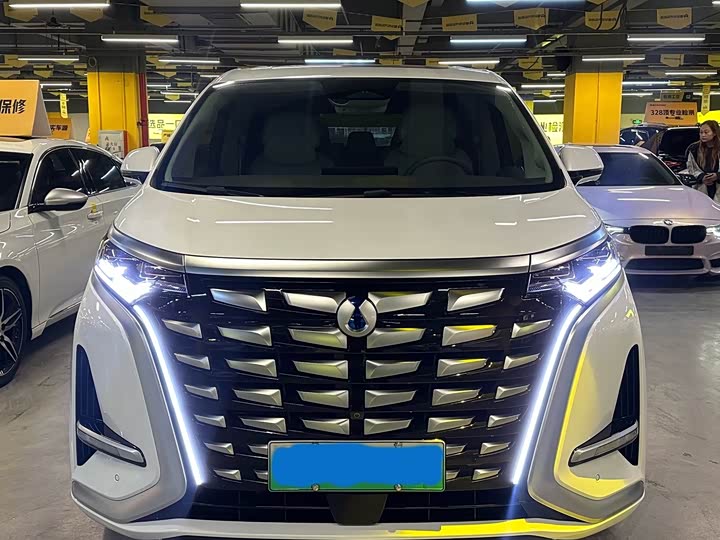 Фото 2 - Denza D9