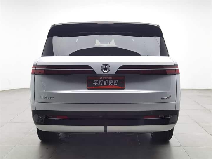 Фото 4 - Denza N9