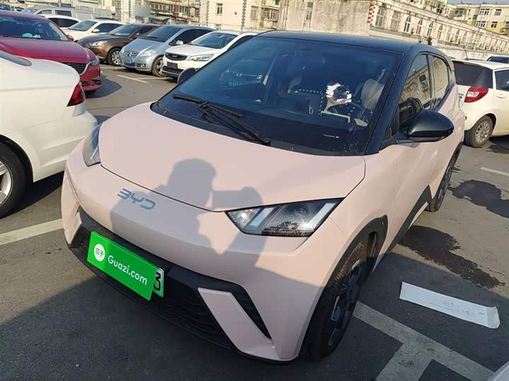 Фото 2 - BYD Seagull