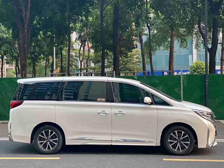 Фото 4 - GAC Trumpchi M8