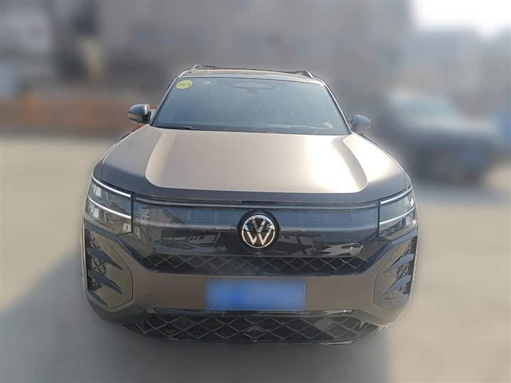 Фото 5 - Volkswagen Teramont Pro