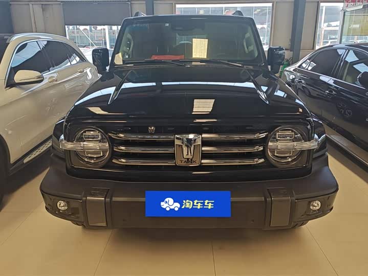 Фото 2 - Tank 300