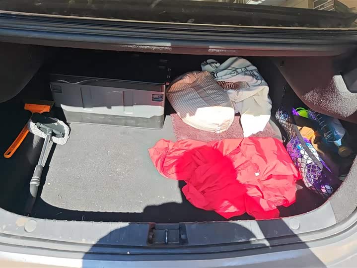 Фото 4 - BYD Han